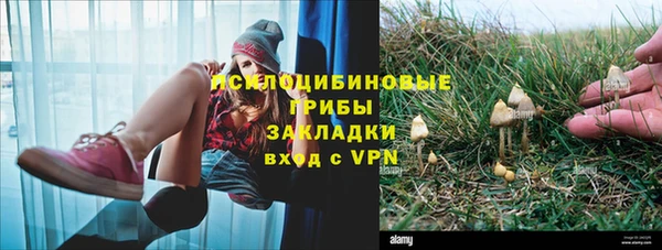 ПСИЛОЦИБИНОВЫЕ ГРИБЫ Нефтекумск