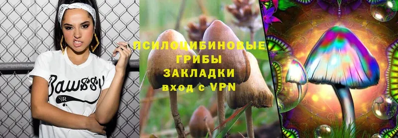 Псилоцибиновые грибы Psilocybe  наркошоп  площадка Telegram  Динская 